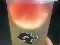 -网鱼网咖(金山卫零店)