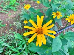 -大兴滨河森林公园