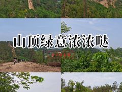 -青龙山国家森林公园