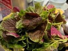 -亮欢寨快活林 酸汤鱼(仁怀店)