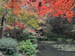 -宋宴(虎跑店)