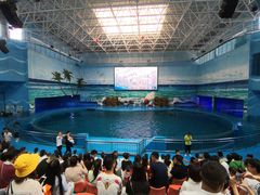 -多彩贵州城极地海洋世界