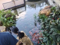 -中山市绿华园食府