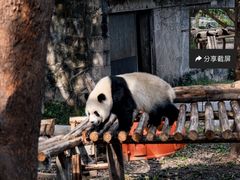 -南昌动物园