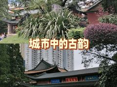 -真庆观