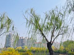 -南翠屏公园