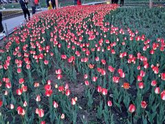 -长春公园(普阳街道)