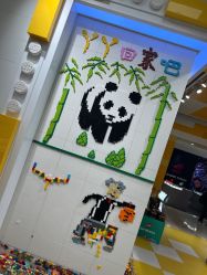 -乐高授权专卖店(万象城店)