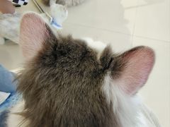 -怪兽屋·羊驼·猫咖·狗咖(俊华广场店)