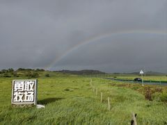 -乌兰布统草原