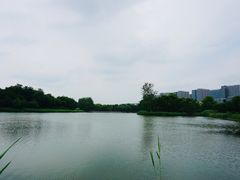 -大兴滨河森林公园