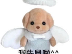 -海底捞火锅(南京红山常发广场店)