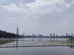 -金海湾自助餐厅(金陵饭店)