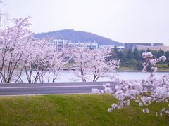 -羊山湖公园