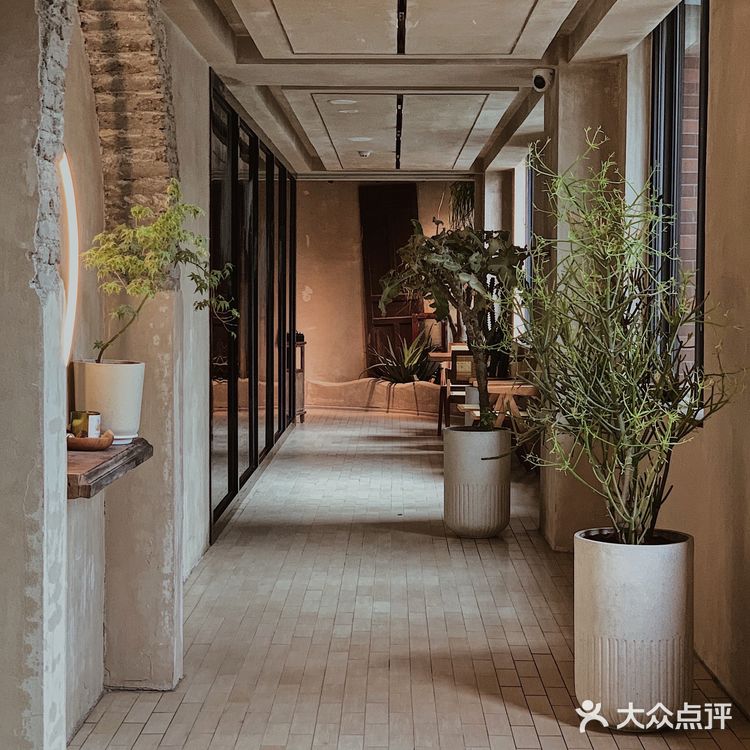 广州新店|远离城市喧嚣🍃来一份森系下午茶