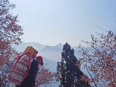 -终南山南五台景区
