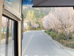 -崂山九水游览区
