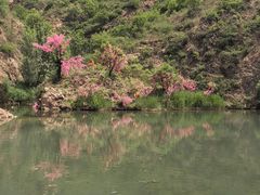 -桑干河大峡谷旅游区