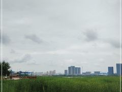 -保定东湖公园(莲池区)