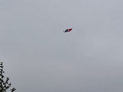 -洨河生态公园