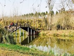 -白鹭湾湿地公园