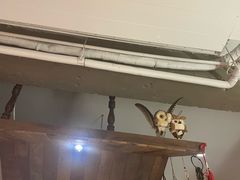 -AFS Cafe & Canteen(闽江二路店)