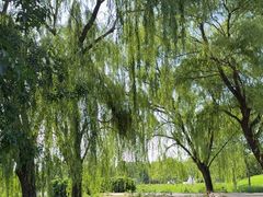 -圣露庄园·亲子活动乐园·露营·团建婚礼