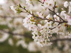 -共青国家森林公园-售票处