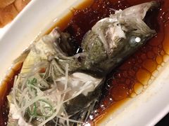-碧丽宫大酒店(召稼楼店)