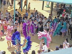 -海合安武汉极地海洋公园