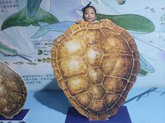-沙沙哗啦海洋馆(华宇百花谷店)