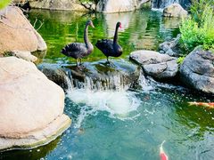 -罗红摄影艺术馆