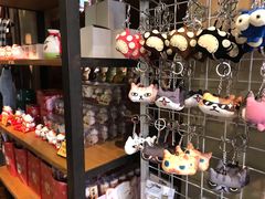 -猫咪博物馆(顶澳仔猫街店)