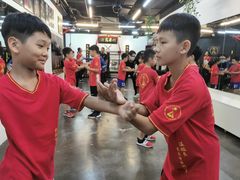 -温鉴良实用咏春拳