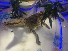 -澜悦港海鲜体验主题餐厅