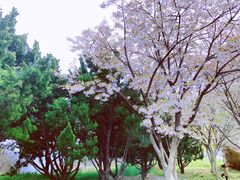 -棒棰岛宾馆景区