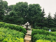 -河南省黄河迎宾馆
