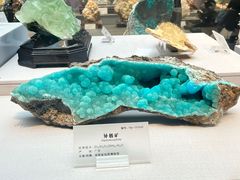 -湖南省地质博物馆