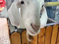 -上海大自然野生昆虫馆