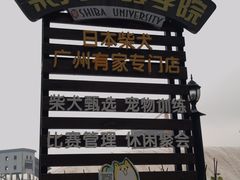 -柴犬高等学院·狗咖·柴犬售卖·宠物训练