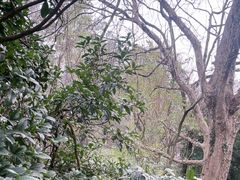 -灵顺寺