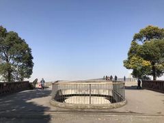 -上海滨江森林公园