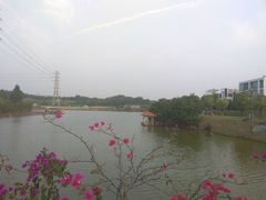 -中国移动南方基地