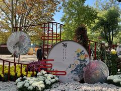 -上海共青森林公园