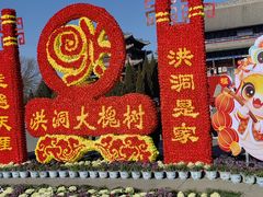 -大槐树寻根祭祖园