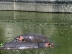 -新疆天山野生动物园