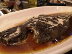 -金陵食府(林景店)