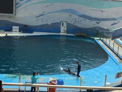 -北戴河圣蓝海洋公园