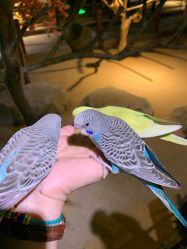 -酷嗒动物文化乐园(cutezoo西溪乐天城店)