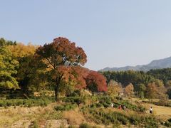 -塔川景区